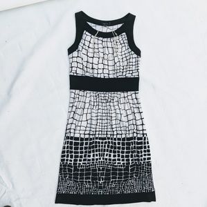 Max & Cleo Black and White Dress 8